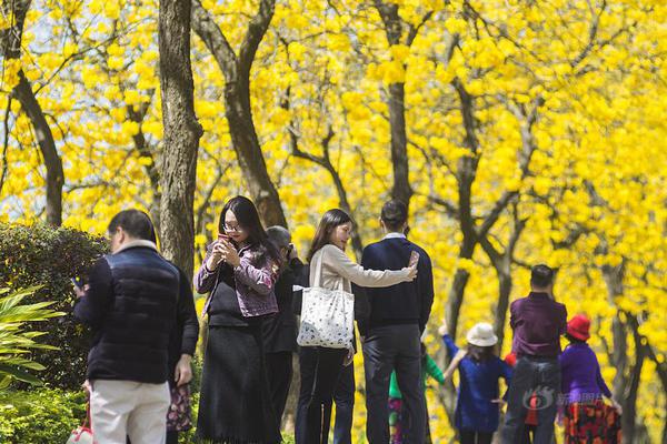 最終一舞！葡萄牙出局，39歲C羅最終一屆歐洲杯之旅停步8強(qiáng)